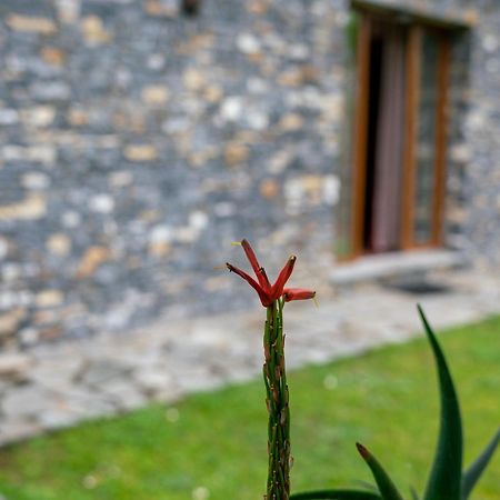 Willa Collina E Mare Camogli Zewnętrze zdjęcie