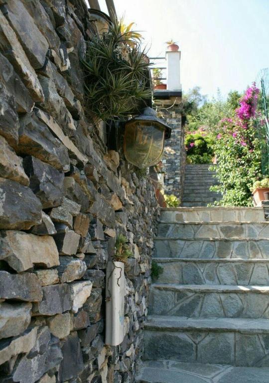 Willa Collina E Mare Camogli Zewnętrze zdjęcie